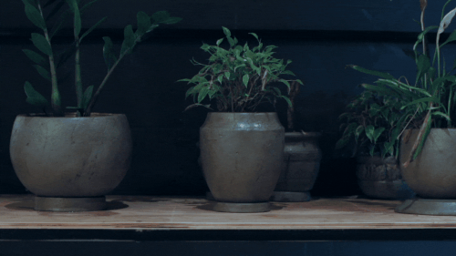 Все, что вы собираете – работает Все, что вы собираете – работает