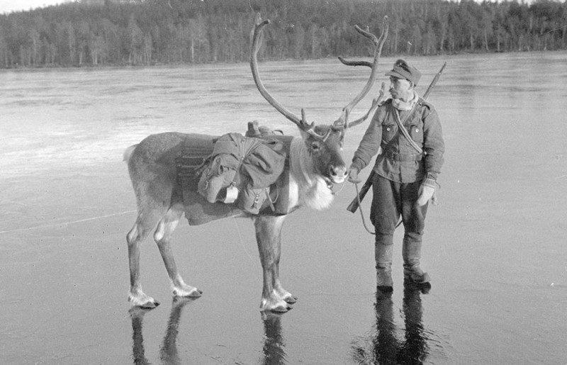 Солдат с северным оленем на скользком льду недалеко от маленькой деревушки Наутси в северной Лапландии, 26 октября 1941 год, Финляндия