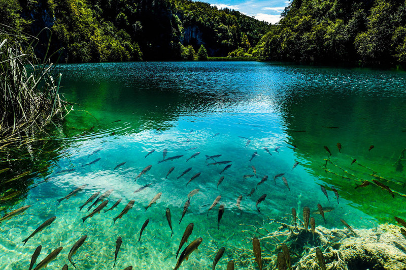 Плитвицкие озера в Хорватии – природная достопримечательность