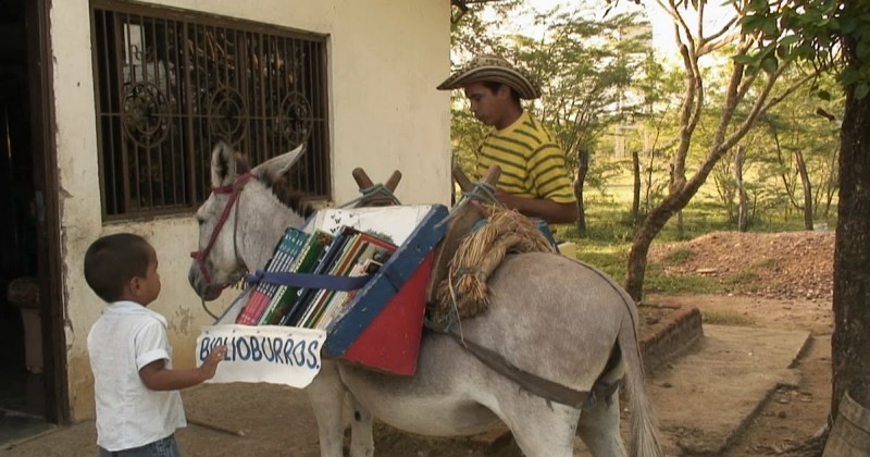 Луис Сориано уже 10 лет привозит на осле книги детям в отдаленные деревни Колумбии
