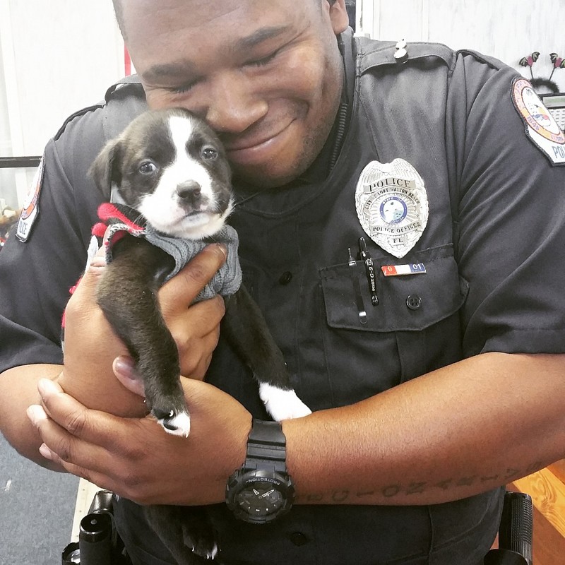 Полицейский Маркус Монтгомери и его щенок Кайло, которого он забрал из приюта