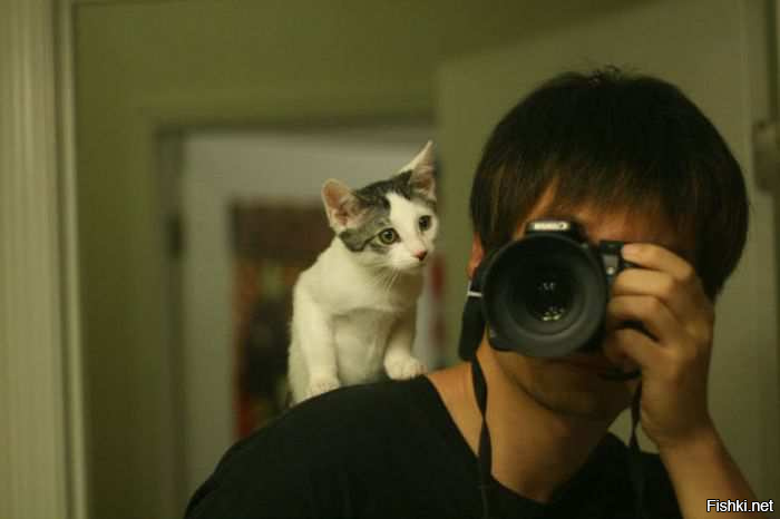 Для разнообразия