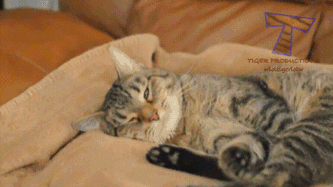 Кошмар снится