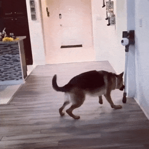 Страшный зверь