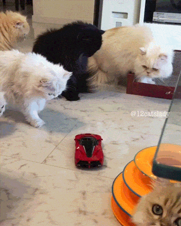 Самый отважный