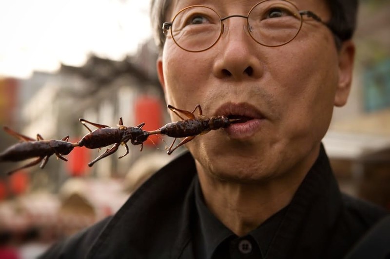 5. Человек употребляет в среднем 500 г насекомых в год вместе с пищей