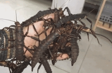 Не для слабонервных