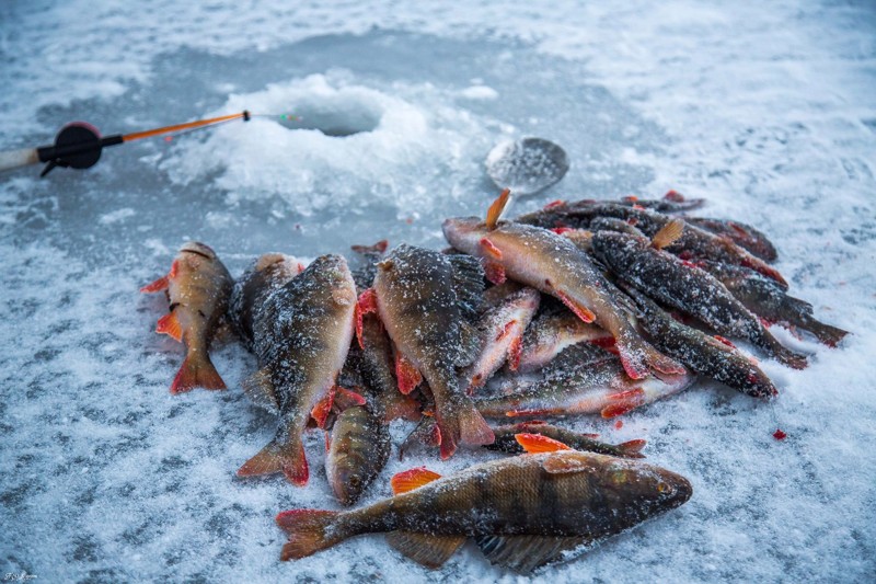 Зимняя рыбалка на севере