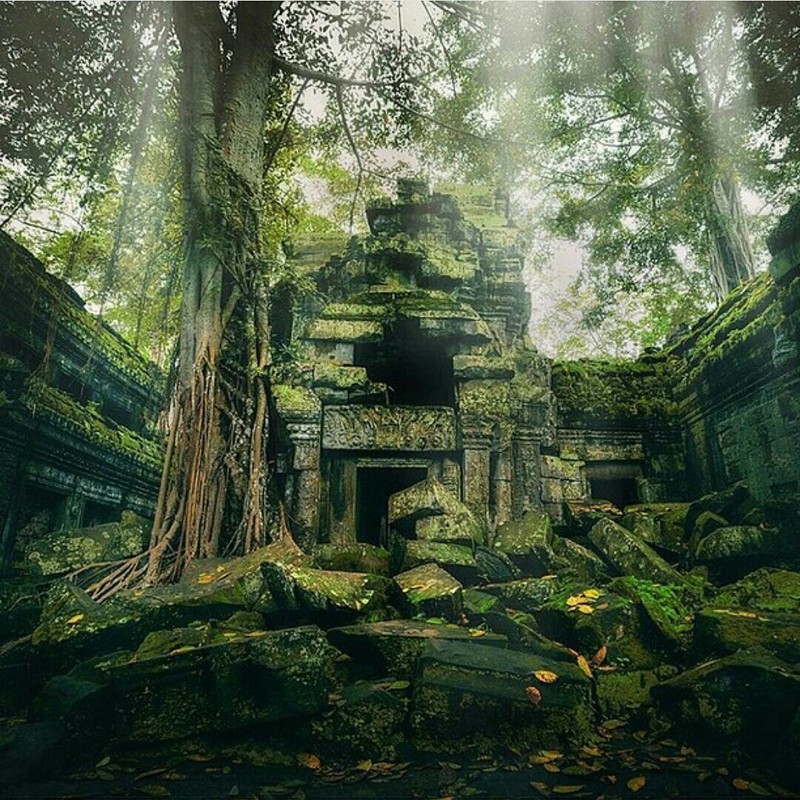 Древнее каменное сооружение в камбоджийских джунглях