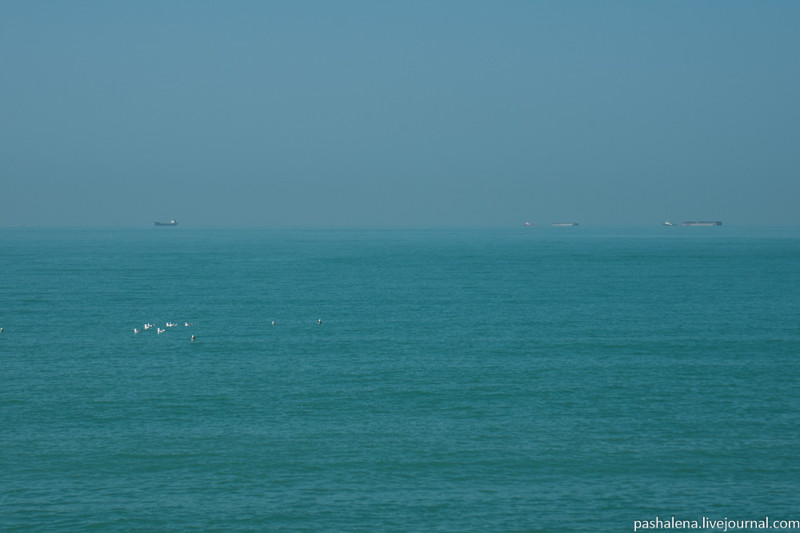 Вдали видны вытянутые корпуса нефтяных танкеров. Такое активное судоходство негативно сказывается на чистоте водички :(
