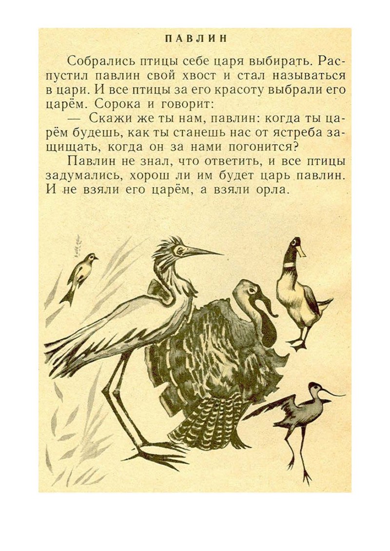 Басни л толстого. Басни Льва Николаевича Толстого. Павлин толстой басня. Басня Лев Николаевич толстой Павлин. Басни Льва Николаевича Толстово.