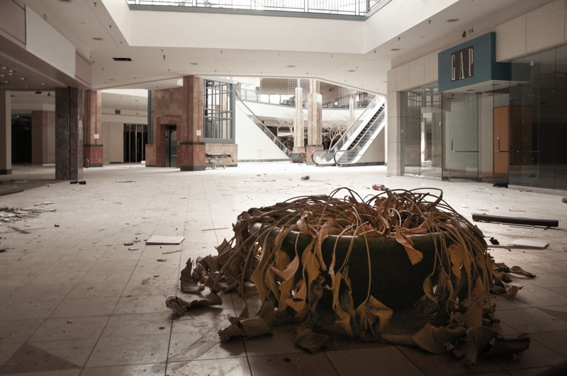 Заброшенный торговый центр — чистый сюр! Фото стали вирусными и взбудоражили общественность