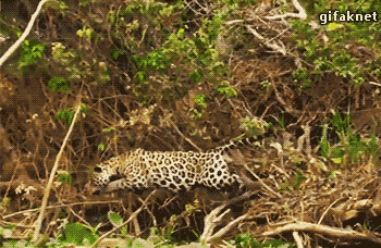 Шок и удивление