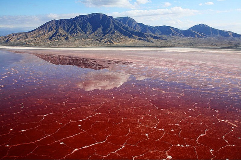 В сезон засухи покрывается коркой соли, которая периодически окрашивается в розовый или красный цвет (в результате жизнедеятельности микроорганизмов, живущих в озере)