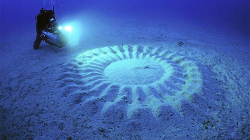 11. Подводные "круги на полях" у берегов Японии. Эти узоры создают самцы местных иглобрюхих рыб, когда им нужно привлечь самку. После спаривания самка оставляет яйца в песке в центре круга