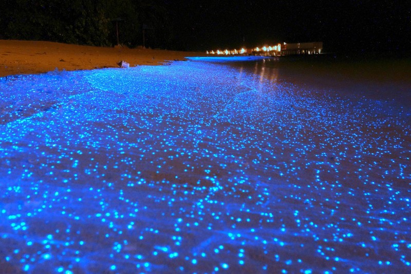 20. "Море звезд" - светящиеся волны на Мальдивах. С наступлением темноты биолюминесцентный фитопланктон начинает излучать свет