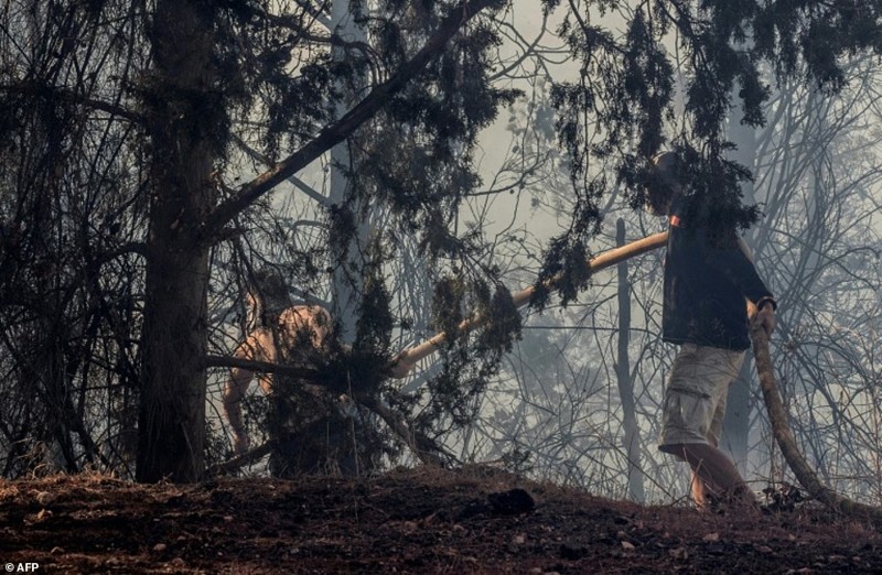 Израильские волонтеры помогают бороться с огнем. Пожары продолжаются уже почти три дня и к настоящему моменту с ними почти удалось справиться