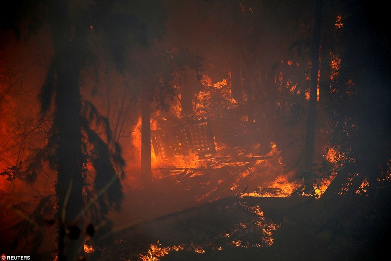 Огонь погубил леса, посаженные вокруг Хайфы