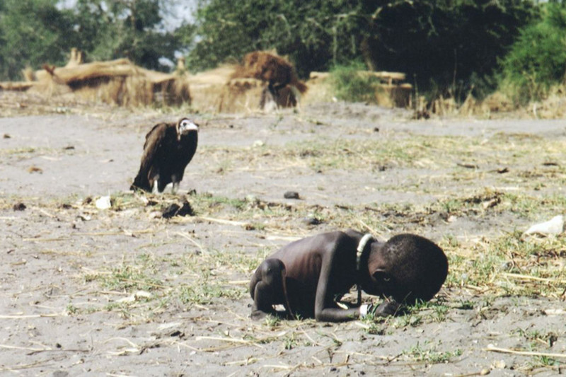 Голодающий ребенок и стервятник, 1993 год