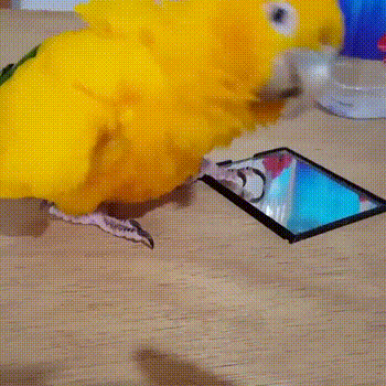 Гифки дня Гифки дня