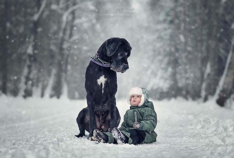 Дети и большие собаки в фотографиях Андрея Селиверстова