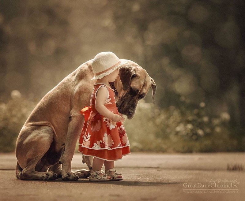 Дети и большие собаки в фотографиях Андрея Селиверстова