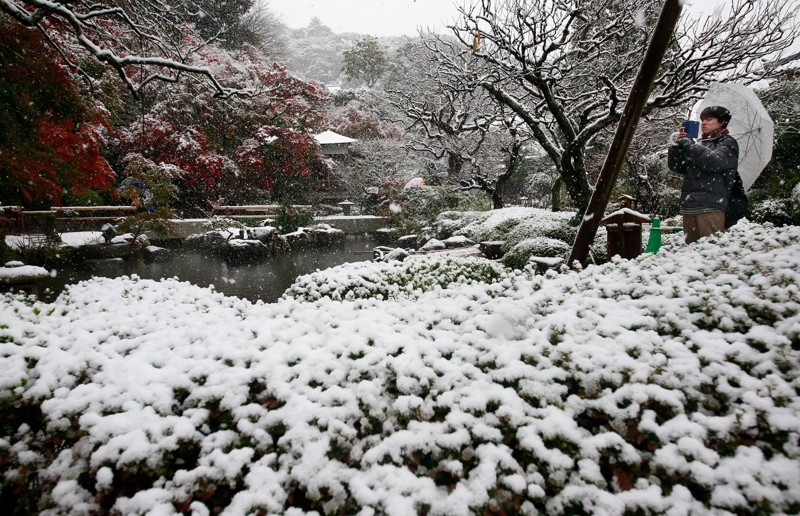 Впервые за 54 года в Токио в ноябре выпал снег. И это прекрасно!