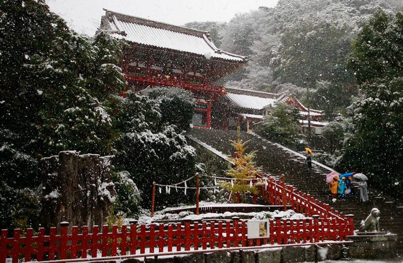 Впервые за 54 года в Токио в ноябре выпал снег. И это прекрасно!
