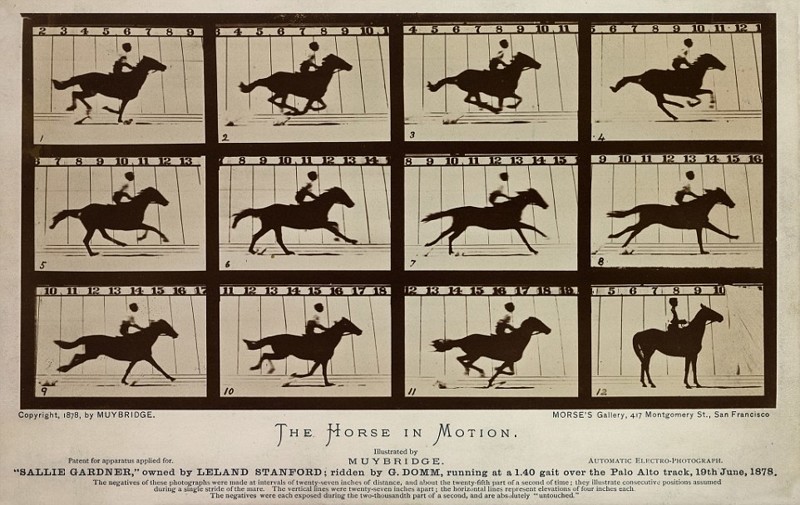 Лошадь в движении. 1878 г. Фотограф Мэйбридж.