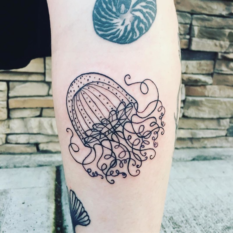 Изящная медуза