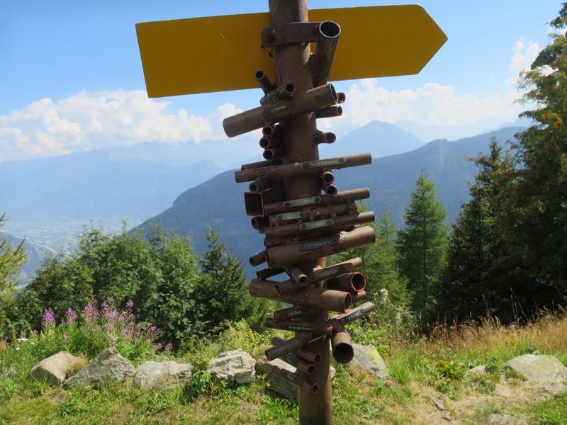 Неизвестный человек создал в Швейцарии необычный горный искатель
