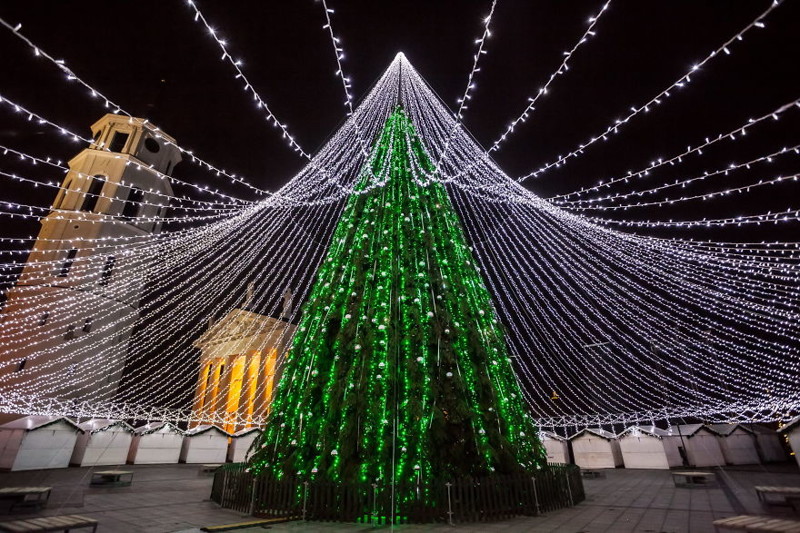 Праздник к нам приходит! В центре Вильнюса поставили елку, украшенную 50 000 лампочек