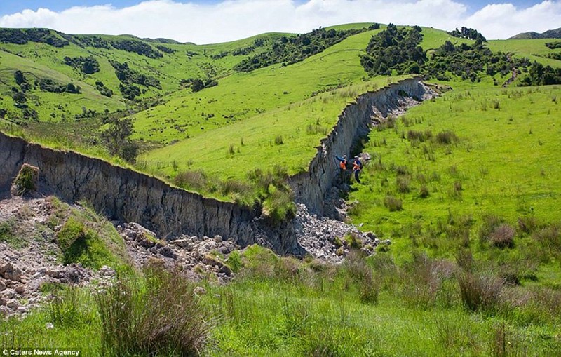 Великая стена: в результате землетрясения в Новой Зеландии образовались стены высотой 5 метров
