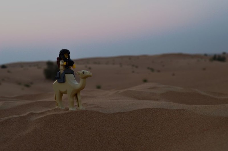 Получаем удовольствие, прогуливаясь на верблюдах по пустыне