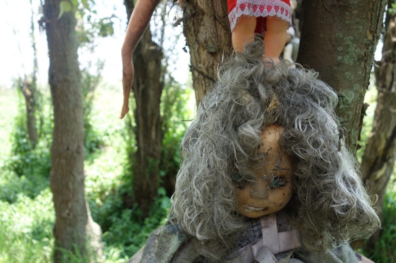 Венцом этого странного совпадения становятся рассказы местных жителей о том, что по ночам куклы оживают и двигаются