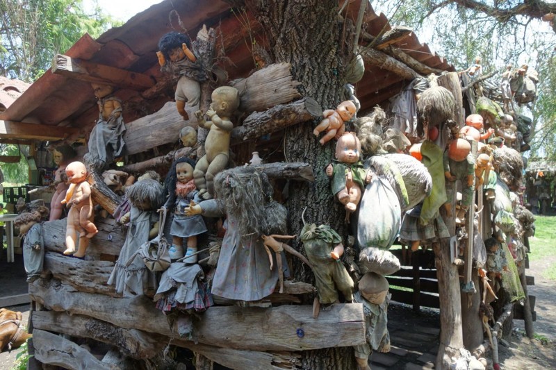 В конце концов на деревьях и домах острова висели сотни кукол