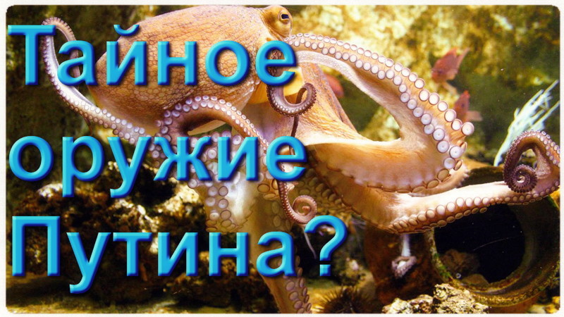 «Тайное оружие Путина?»: Российский боевой «осьминог-убийца» напугал Запад!