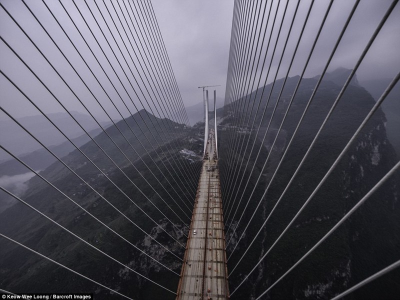 Опасное предложение руки и сердца: фотограф из Малайзии влез на самый высокий мост Китая