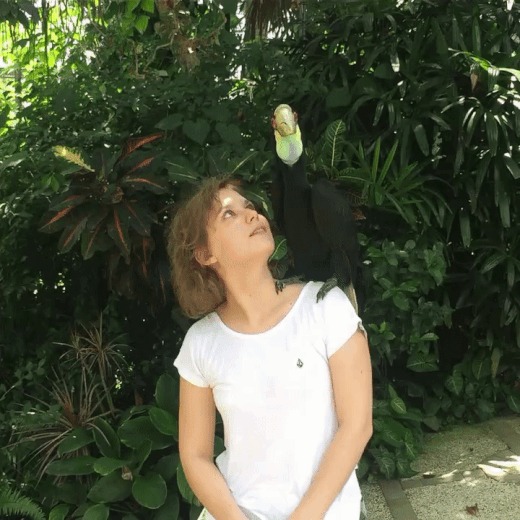 Гифки Гифки