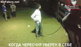 Гифки дня Гифки дня