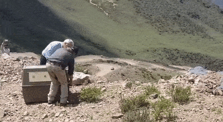 Долгожданная свобода