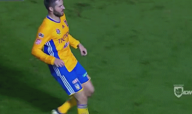 Одна команда