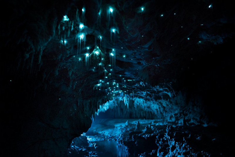 Уникальная пещера в Новой Зеландии, которой 30 миллионов лет