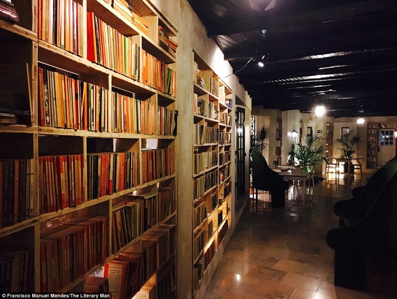 Нора для книжных червей: изумительная гостиница-библиотека