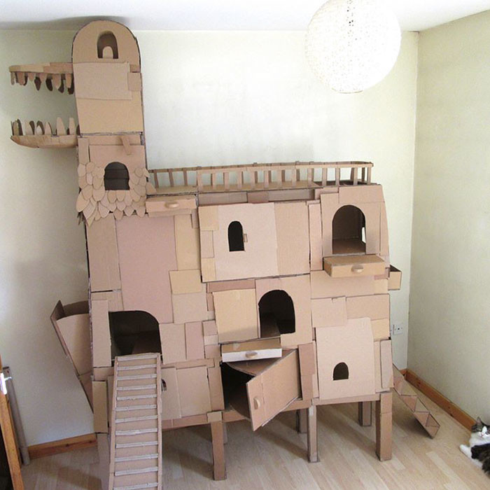 Человек построил для своего кота замок из картонных коробок в виде