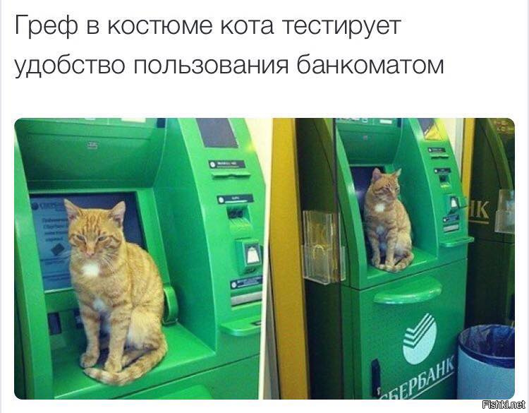 Банкомат 3 часа. Греф в костюме. Человек который стоит перед тобой у банкомата. Кот ТЕСТИТ новый телефон. Наклейки с Грефом котом.