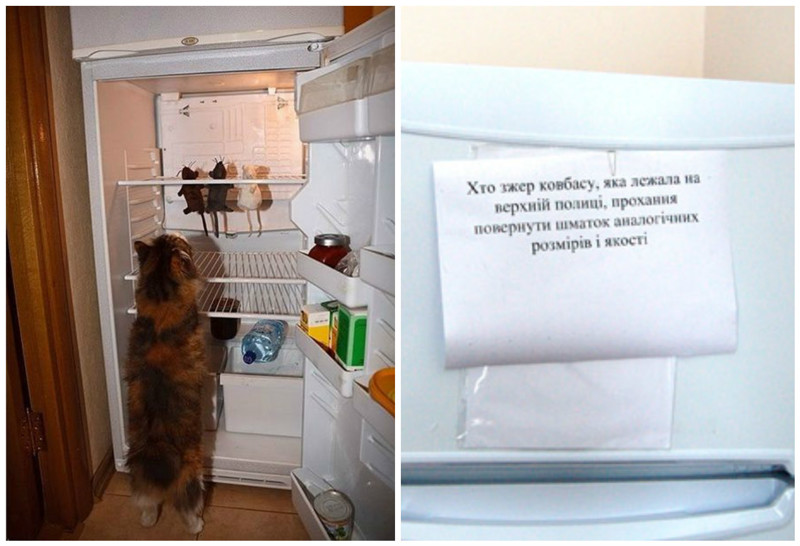 Его сиятельство, кухонный самодержец - холодильник