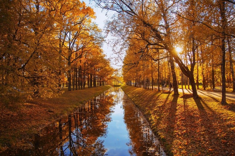 Золотая осень в Александровском парке. Оля Муратова