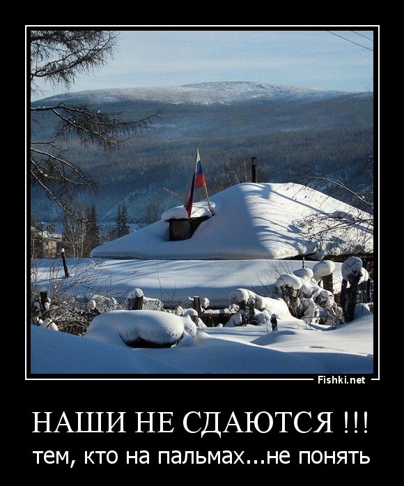 Наши не сдаются картинки
