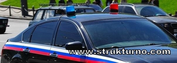 Как выглядят номера машин с триколором Автомобили силовых структур